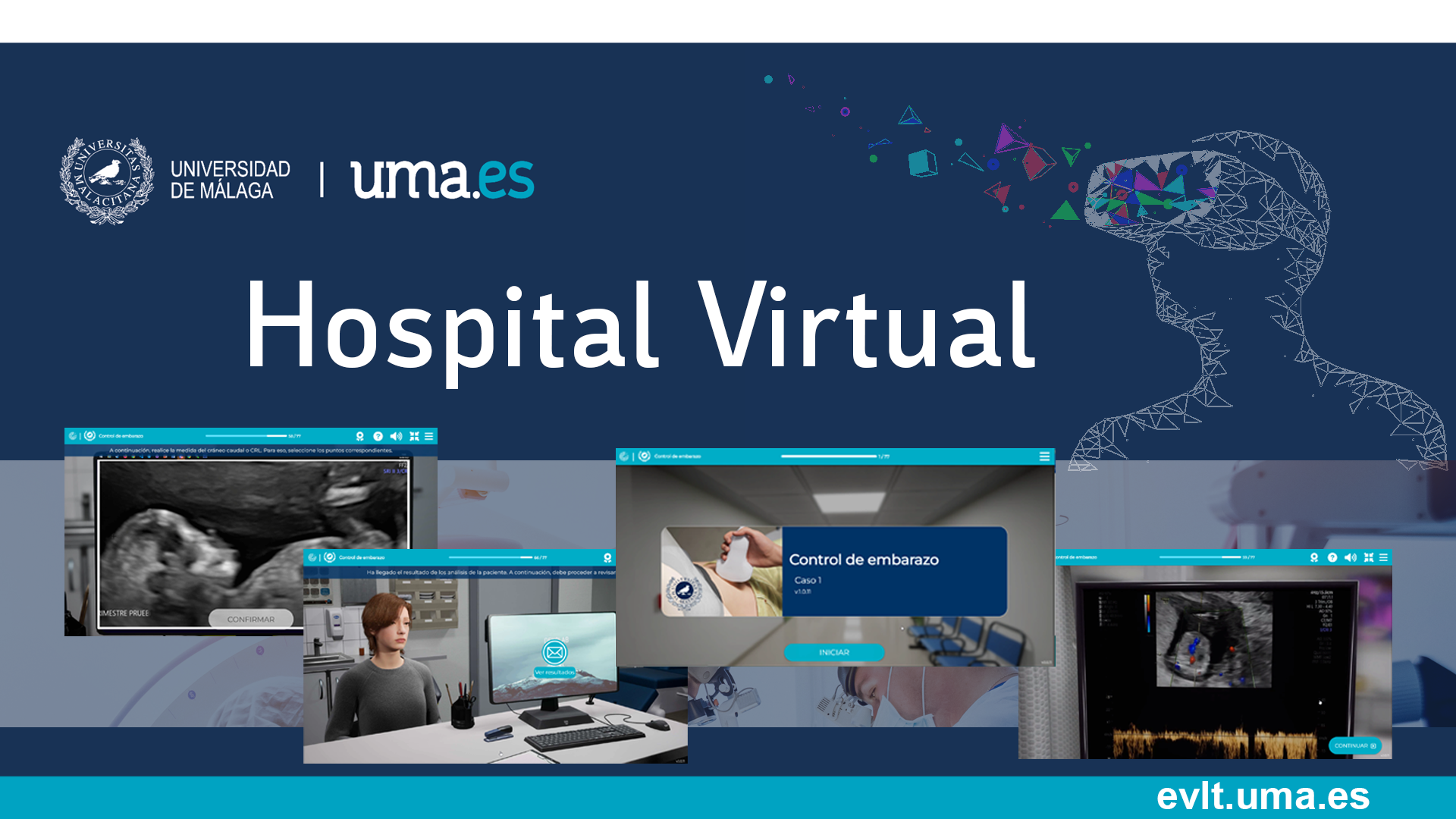 Hospital Virtual - Facultad de Medicina